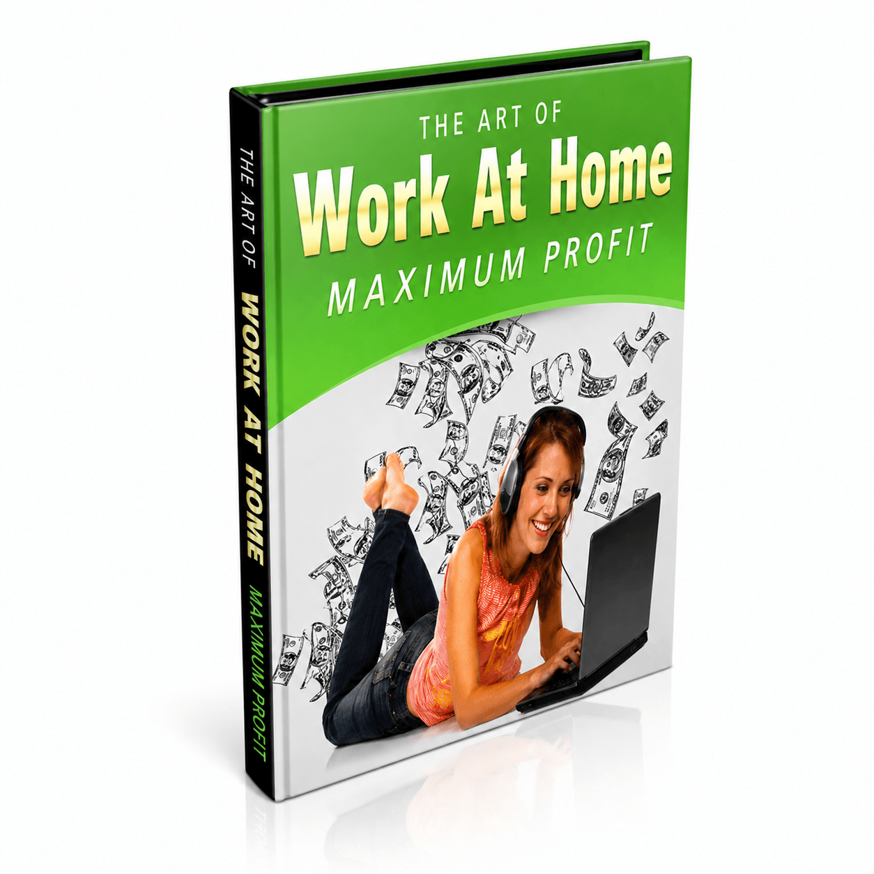 Work At Home Maximum Profits