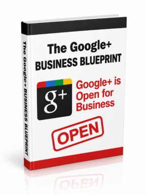 The Google+ Business Blueprint