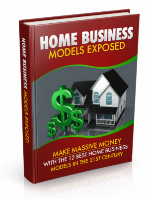 The Home Business Model